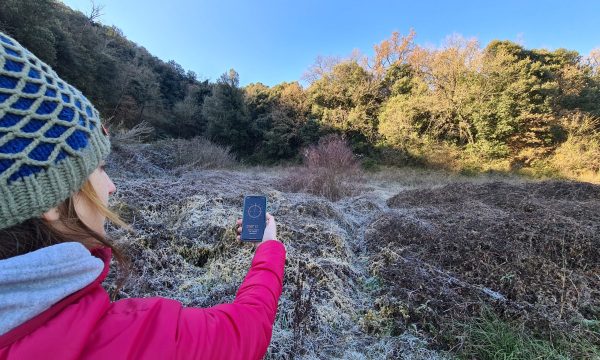 Persona fotografiant el terreny abans de plantar la vinya