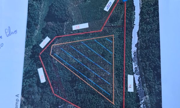 Croquis de la parcel·la amb les fileres de la vinya marcades