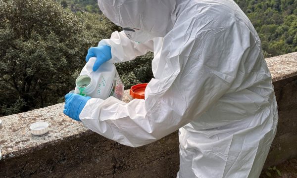 Membre de la família preparant el tractament per a la vinya