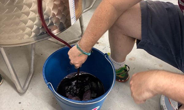 Detall del trasbals del vi al celler